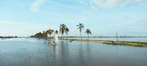 Below Sea Level Farming System in Kuttanad