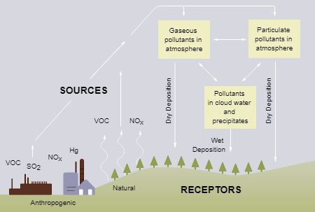 Acidification in Lakes