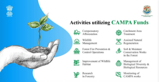 Compensatory Afforestation Fund Management and Planning Authority