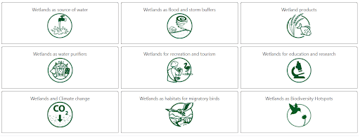Significance of Wetlands