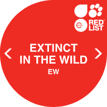 Extinct in the Wild - IUCN Classification