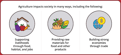 Impact of Agriculture