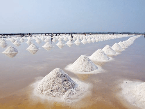 Salt