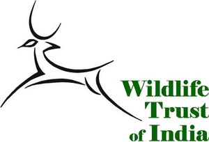 Wildlife Trust of India - Logo