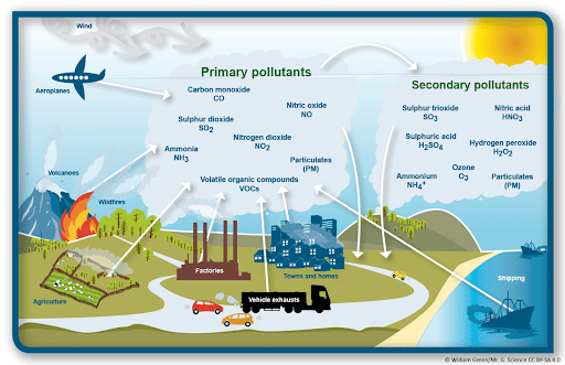 Components of Acid Rain