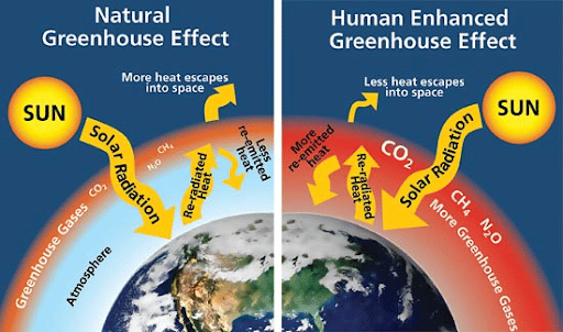Natural vs Human Enhances Greehouse Effect