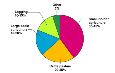 Causes of Tropical Deforestation