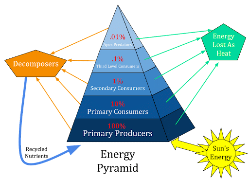 Energy Pyramid