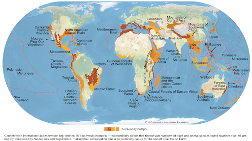 Distribution of Biodiversity Hot Spots