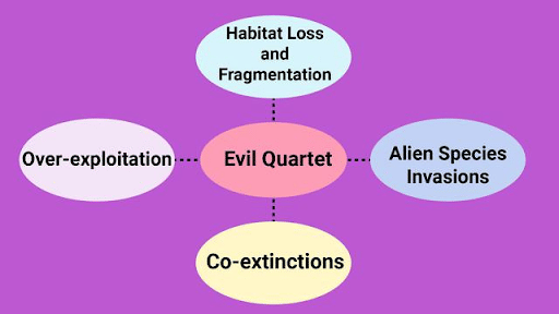 Causes for Biodiversity Loss