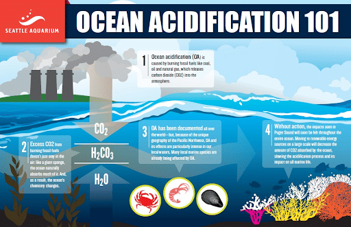 Ocean Acidification