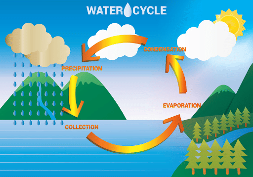 Hydrological Cycle