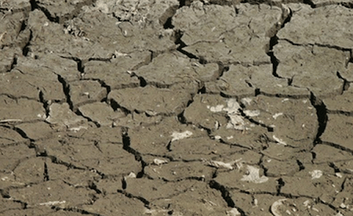 Alakil Soil