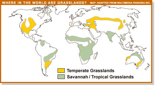 Types of Grasslands