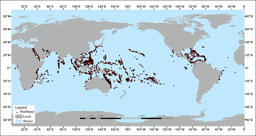 Global Distribution of Corals