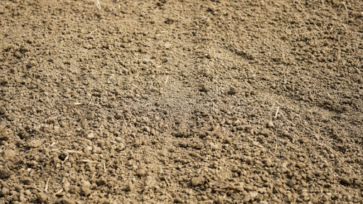 Silty Soil