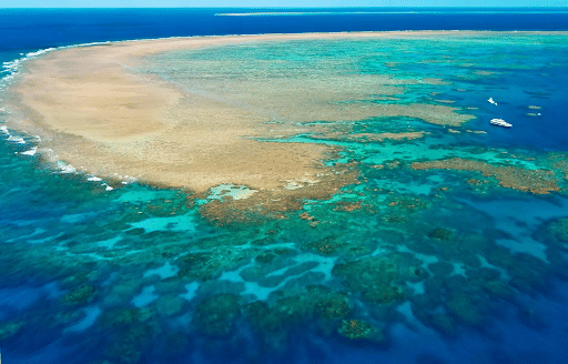 Barrier Reef
