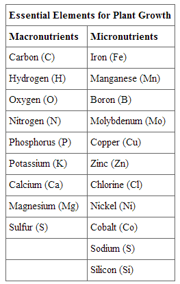 Important Elements for Plant Growth