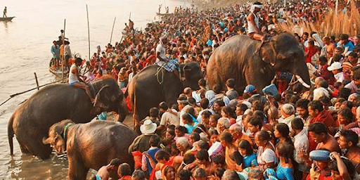Sonepur Mela