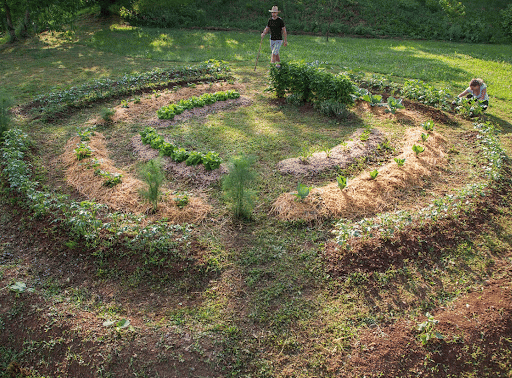 Permaculture Gardens