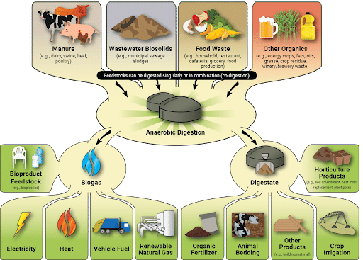 Anaerobic Digestion