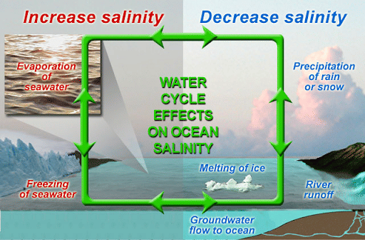 Salinity