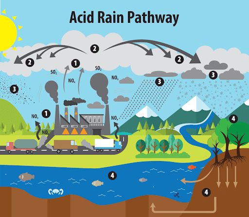 Pathway of Acid Rain
