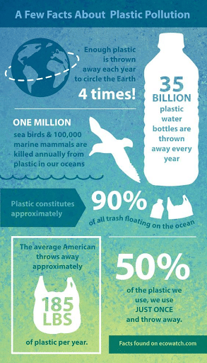 Harshness of Plastic Pollution