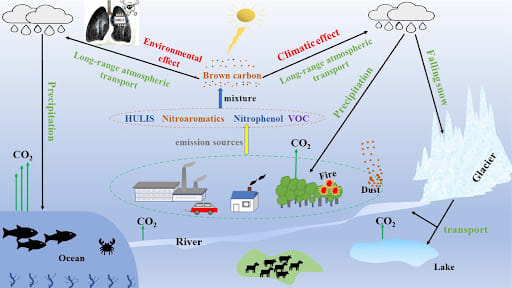 Brown Carbon Cycle