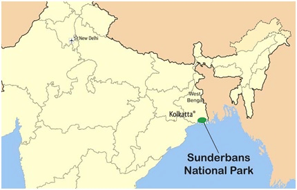 Location of sundarbans Delta
