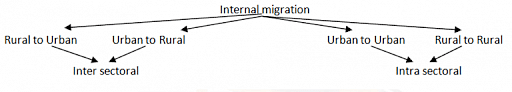 Types of Internal Migration