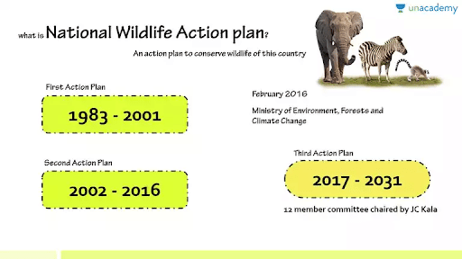 National Wildlife Action Plan