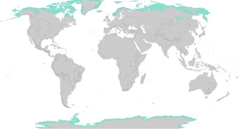 Distribution of Tundra Forests