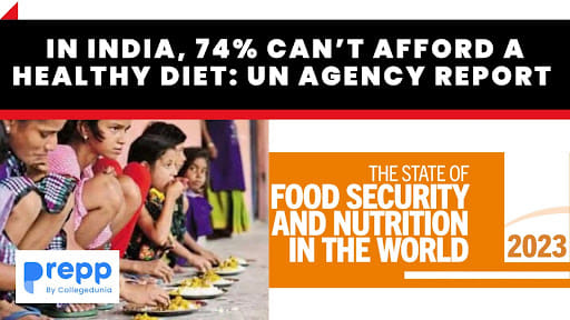 UN Agency Report