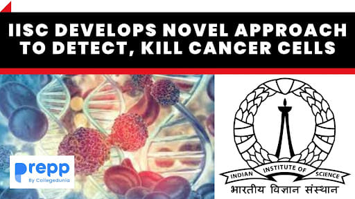 Cancer Cells