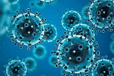 Crown-like spikes on Coronavirus
