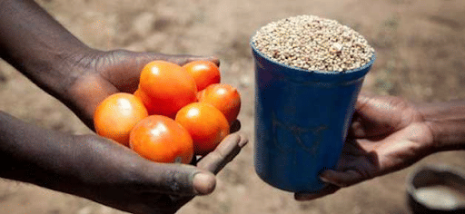 Example for Barter System