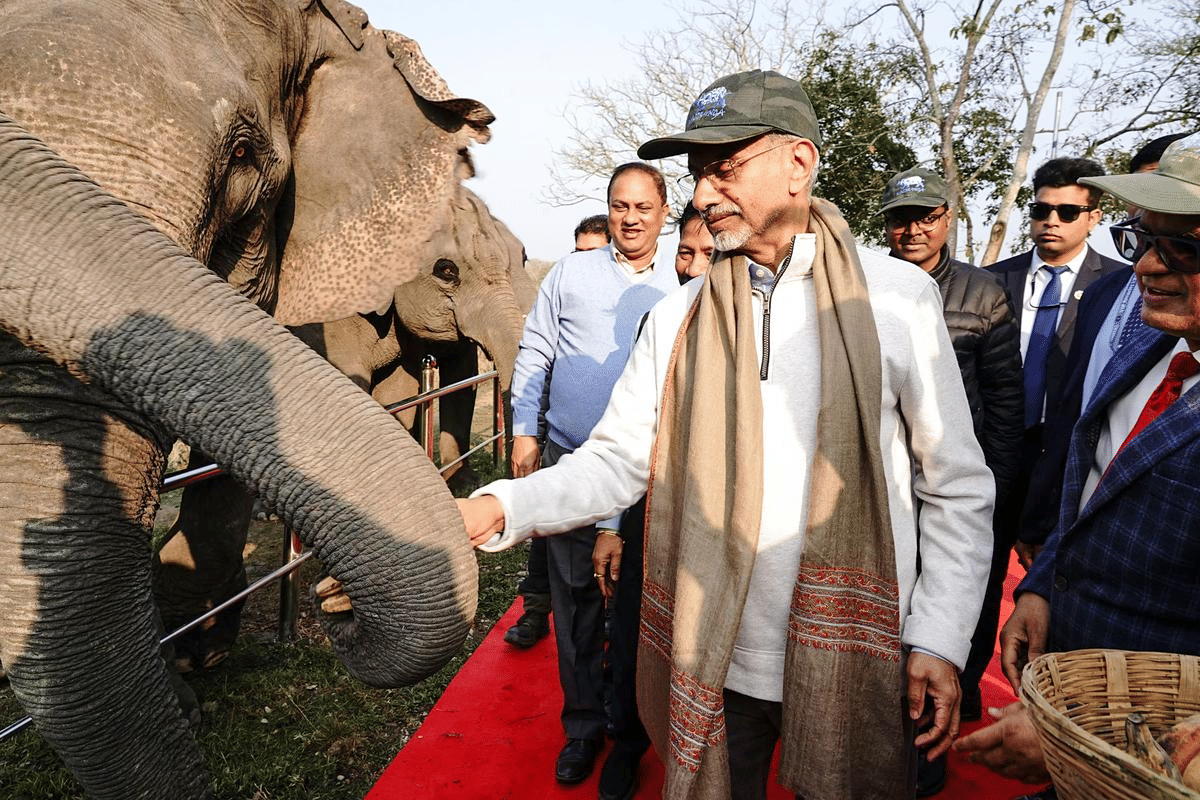 External Affairs Minister