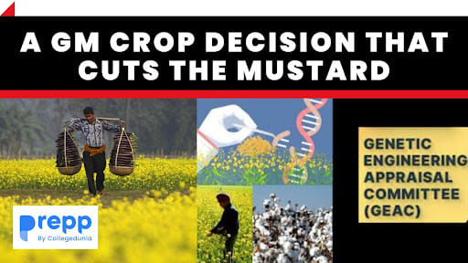 GM Crop