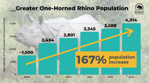 Greater One Horned Rhino
