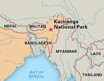 Kaziranga National Park