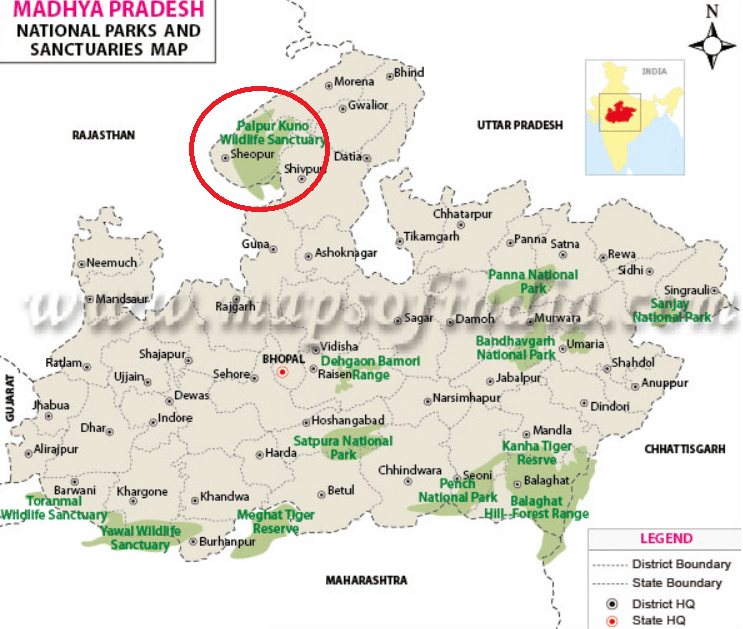 Location and Area