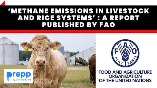 Methane Emissions