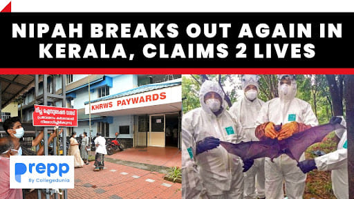 Nipah Breaks