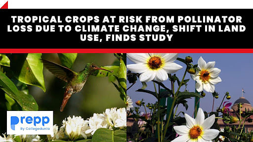 North America Pollinator Extinction Risk Study Tropical Crops At Risk From Pollinator Loss Due To Climate Change