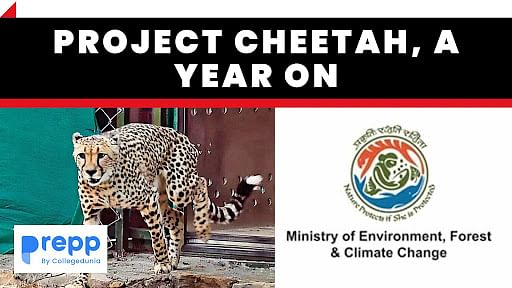 Project Cheetah A Year On