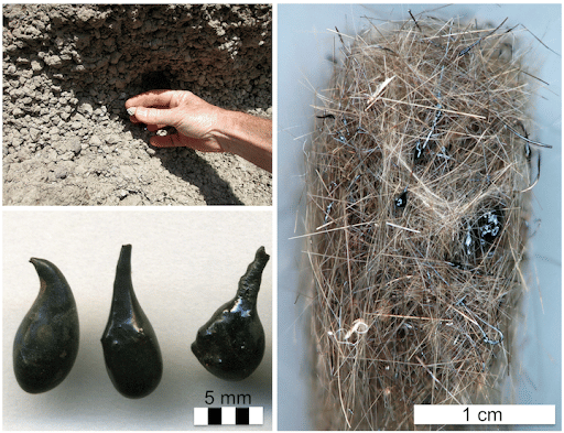 Lapilli, Pele’s Tear and Pele’s Hair