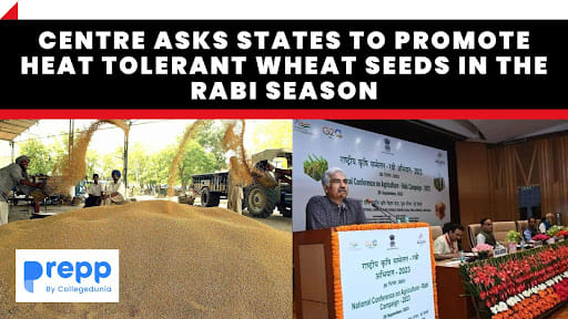 Rabi Season