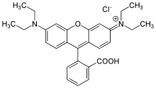 Rhodamine B