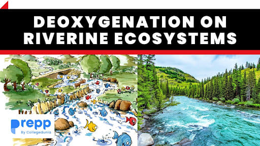 Riverine Ecosystems